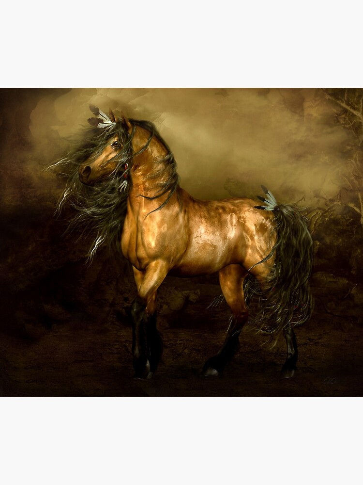 Shikoba - Choctaw Native American Horse by Allegra