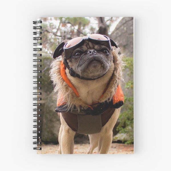 Item preview, Action Pug: Ready for Snacktion designed and sold by pugventurephoto.