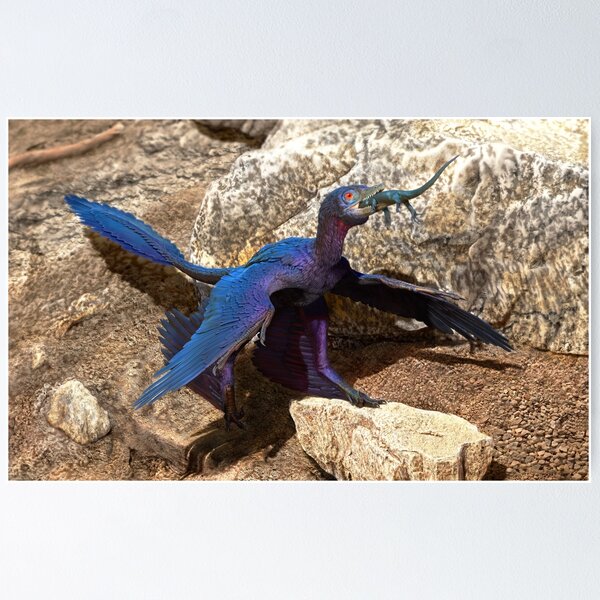 Item preview, Microraptor consuming Indrasaurus -based on fossil specimen. designed and sold by Doyle Trankina.