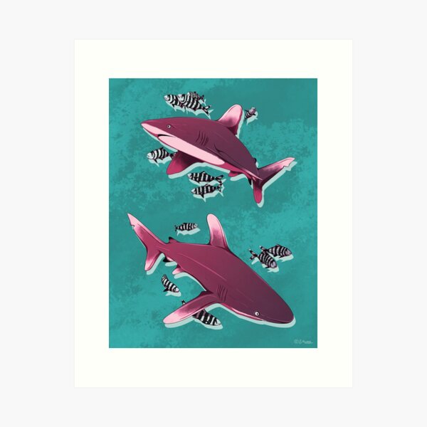 Pilot Fish Art Prints for Sale