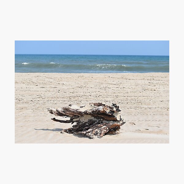 Item preview, Wooden Beach designed and sold by Aavelyn.