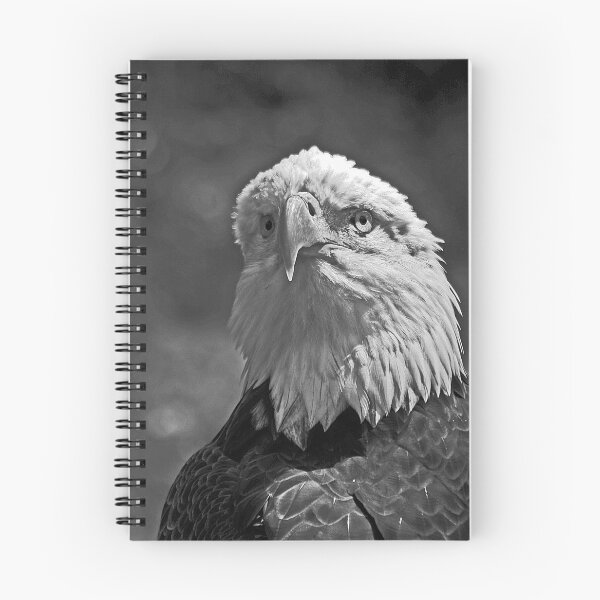 Item preview, Majestic Pose designed and sold by KWCreations.