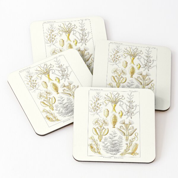Item preview, Plate 25. Sertulariae, delicate branching hydroids. designed and sold by Squirrox.