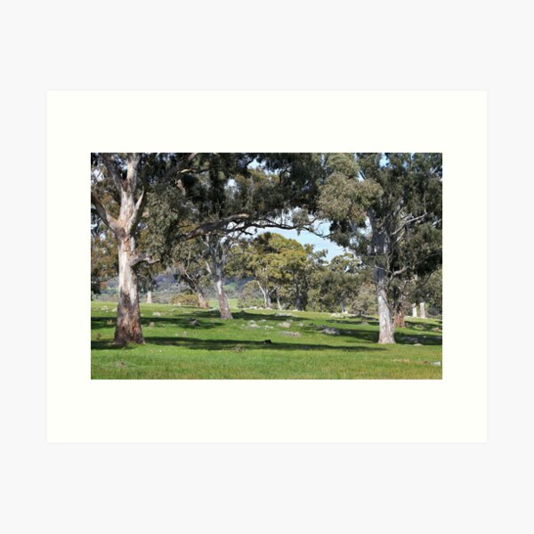 Item preview, ~ The Beautiful Adelaide Hills ~ designed and sold by LeeoPhotography.