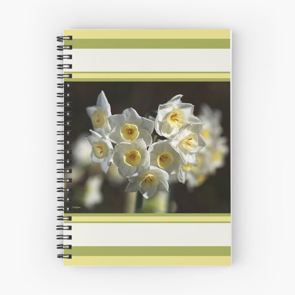 Item preview, Jonquils White and Yellow designed and sold by Joy Watson - Natural Light Photography .