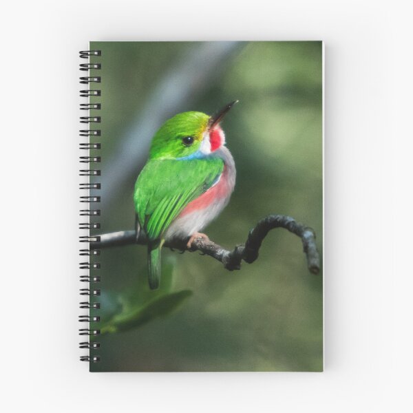 Item preview, Cuban Tody Bird designed and sold by opticpixil.