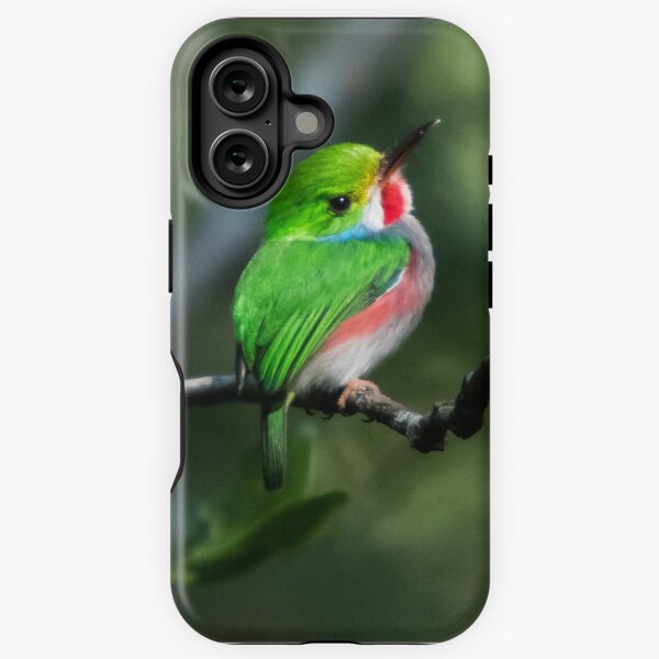 Item preview, Cuban Tody Bird designed and sold by opticpixil.