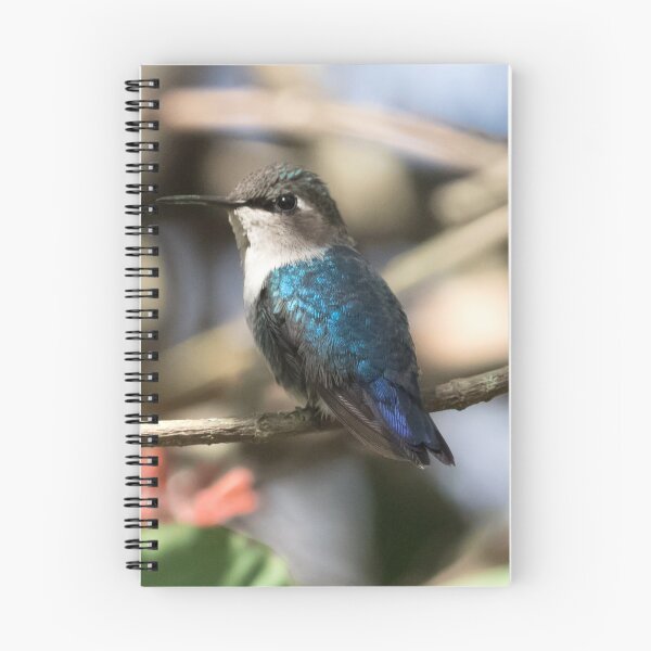 Item preview, Bee Hummingbird designed and sold by opticpixil.