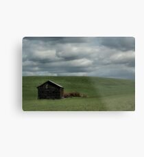 Wide Open Spaces Metal Print