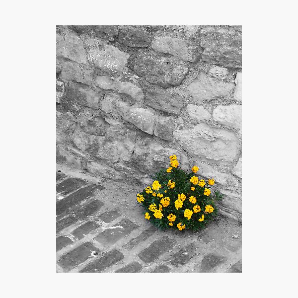 Item preview, Yellow Flowers designed and sold by Rees Adams.