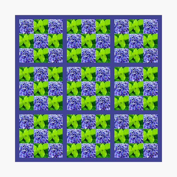 Item preview, HYDRANGEA QUILT #1 designed and sold by Joan Harrison.