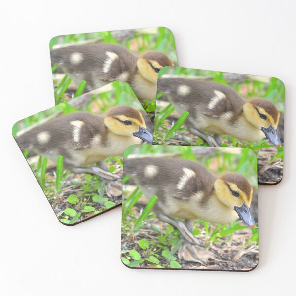Item preview, Precious Little Duckling designed and sold by richardbryce.
