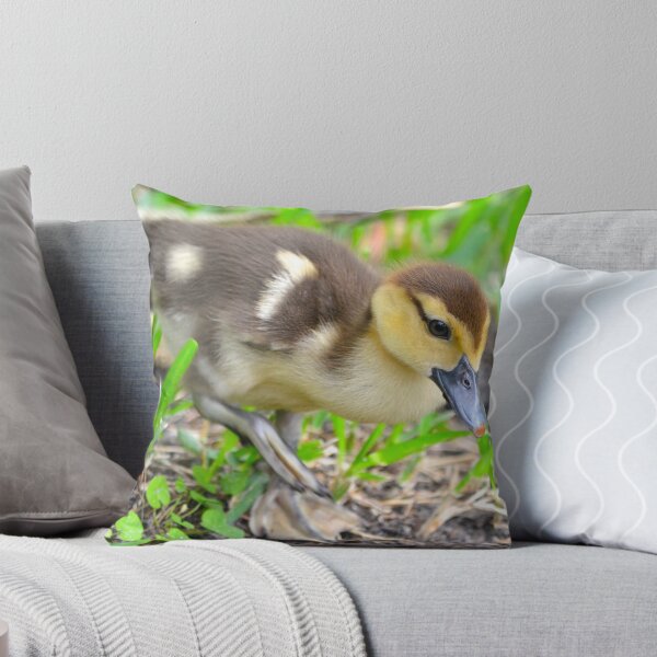 Item preview, Precious Little Duckling designed and sold by richardbryce.