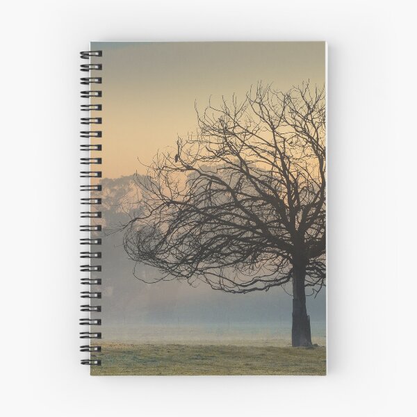 Artikelvorschau, Ein einzelner Baum steht im weichen Nebel des Morgens. entworfen und verkauft von WordTasker.