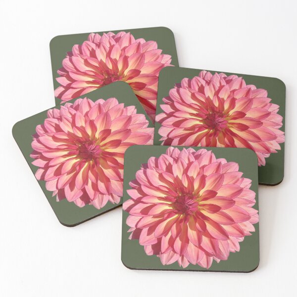 Dahlia rose orangé Dessous de verre (lot de 4)