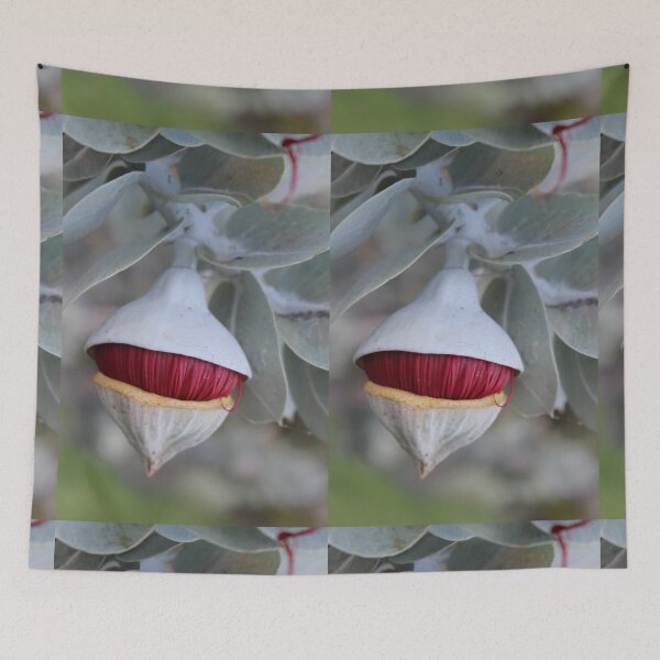 Item preview, On the verge of a new adventure, gumnut flower, kings park Perth designed and sold by Matat Lipsky.