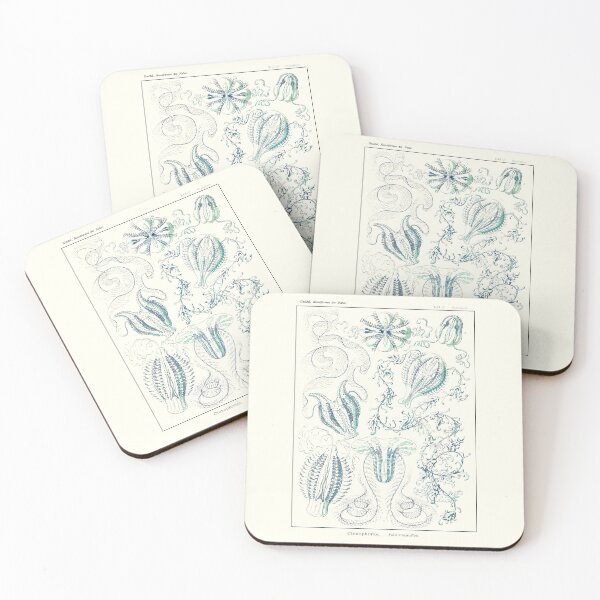 Item preview, Plate 27. Ctenophora, comb jellies. designed and sold by Squirrox.