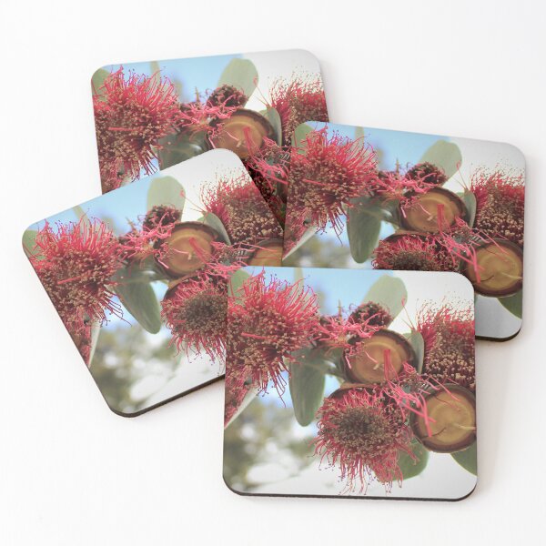 Item preview, Gum nut flowers Kings Park designed and sold by Matat Lipsky.