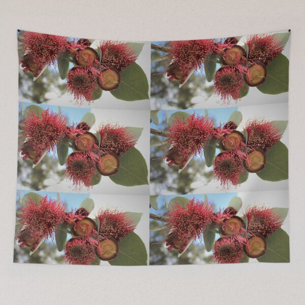 Item preview, Gum nut flowers Kings Park designed and sold by Matat Lipsky.