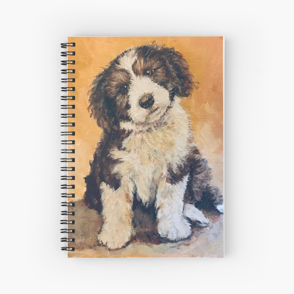 bearded collie puppies 2019