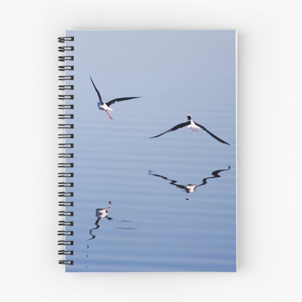 Item preview, Black-winged Stilts flying over water  designed and sold by Martin Pot.
