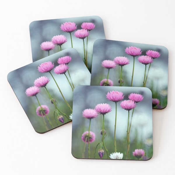 Item preview, Everlasting Daisies at Dawn designed and sold by Cloudlingpics.