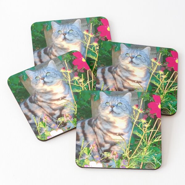 Item preview, Molly kin’s:   In the warm evening light  designed and sold by Angela Haig-Harrison.