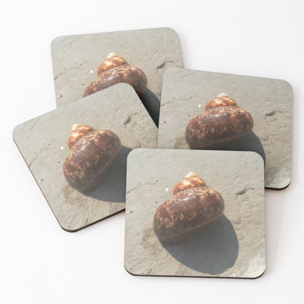 Item preview, brown shell designed and sold by atevern.
