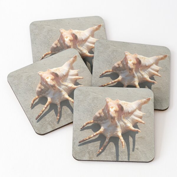 Item preview, brown shell designed and sold by atevern.