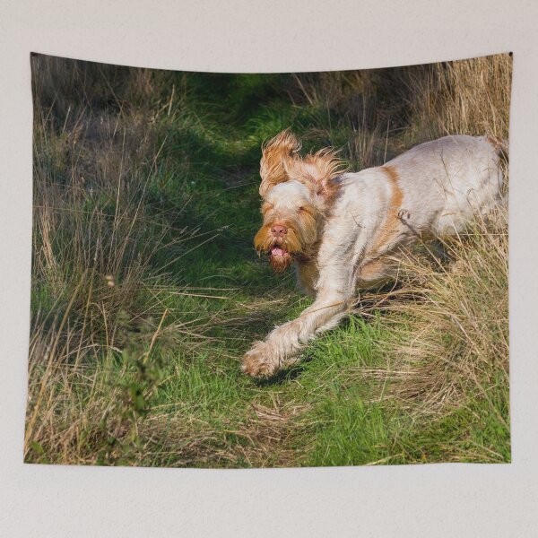 Item preview, Flying Spinone Ears by heidiannemorris by heidiannemorris © designed and sold by FOLK ART FUSION by heidiannemorris.
