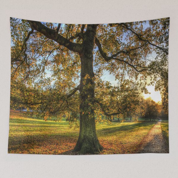 Item preview, Greenwich Park London designed and sold by Londonimages.