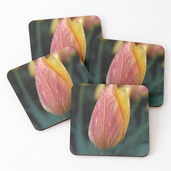 Item preview, Tulip in the Rain - Arundel Castle Tulip Festival designed and sold by Chris Monks.