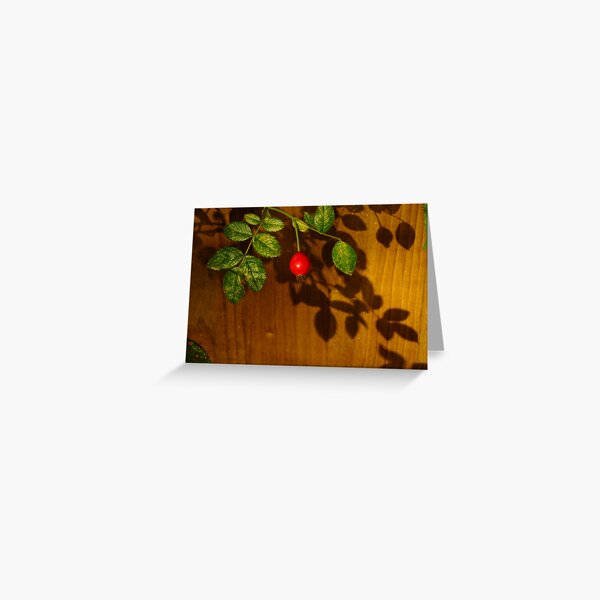 Glory days are over... Greeting Card