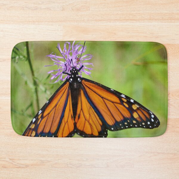Item preview, Monarch On A Knapweed Flower designed and sold by farmbrough.