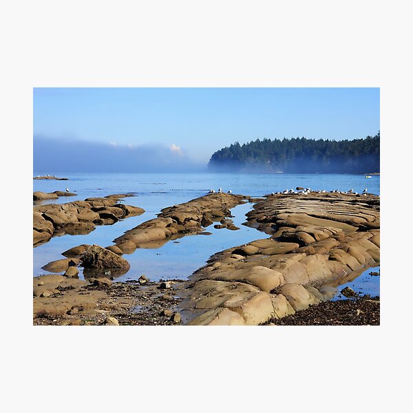 Reef Bay in September Photographic Print