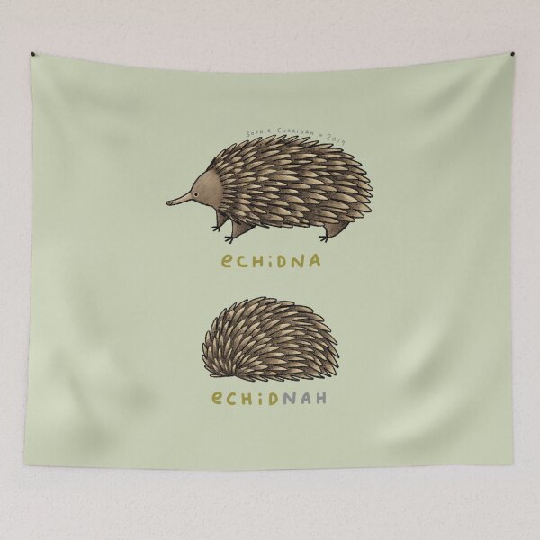 Item preview, Echidna Echidnah designed and sold by SophieCorrigan.