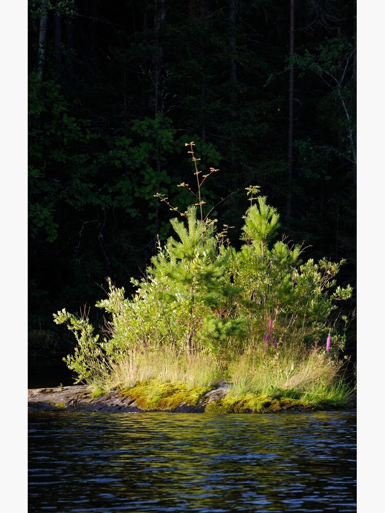 Small lush island in sunlight at lake shore by Juhku