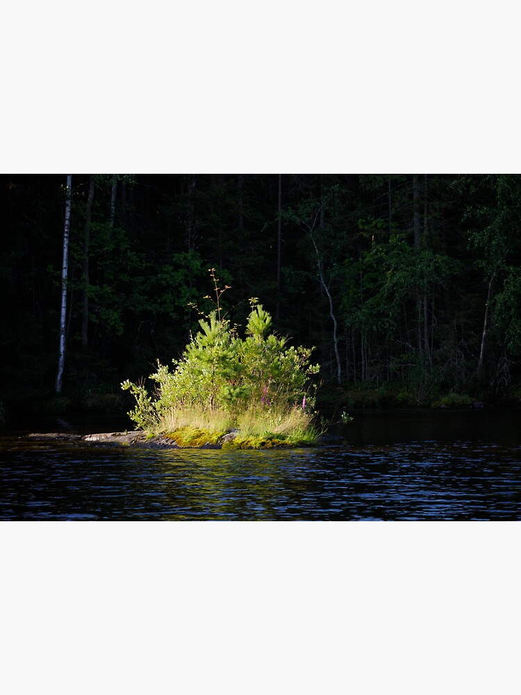 Small lush island in sunlight at lake shore by Juhku