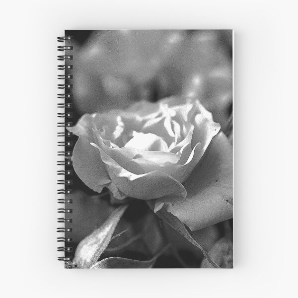 Item preview, Garden Photography Edit #8b designed and sold by Olympia Ellinas.