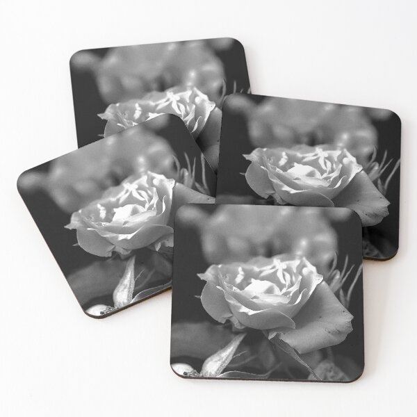 Item preview, Garden Photography Edit #8b designed and sold by Olympia Ellinas.