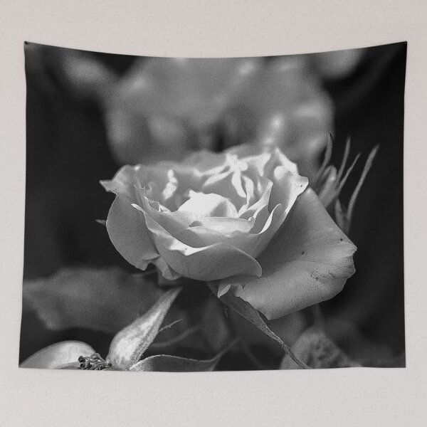 Item preview, Garden Photography Edit #8b designed and sold by Olympia Ellinas.