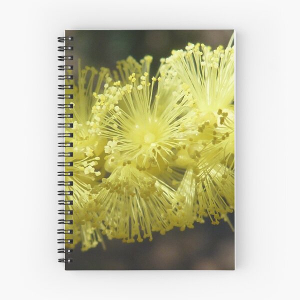 Item preview, Light play on Wattle designed and sold by Pauline Sykes.