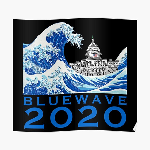 Blue Wave 2020 USA General Election Flip Senate White House Poster