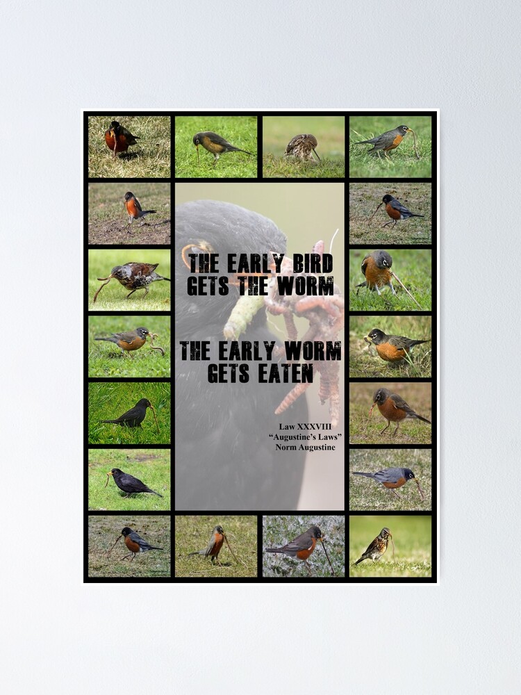 The Early Bird Gets the Worm Poster for Sale by Montage-Madness
