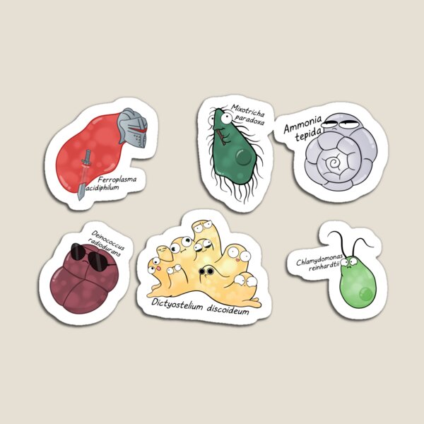 Microbe Menagerie Magnet