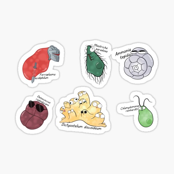 Microbe Menagerie Sticker