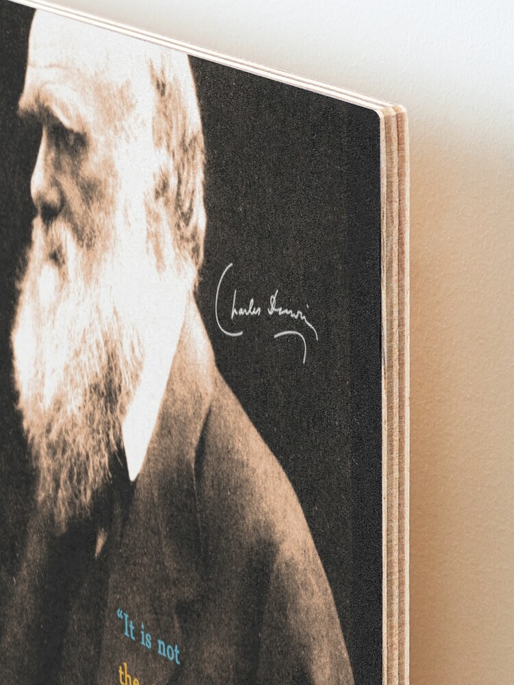 "Charles Darwin Zitat 3" Aufgezogener Druck Von Pahleeloola | Redbubble