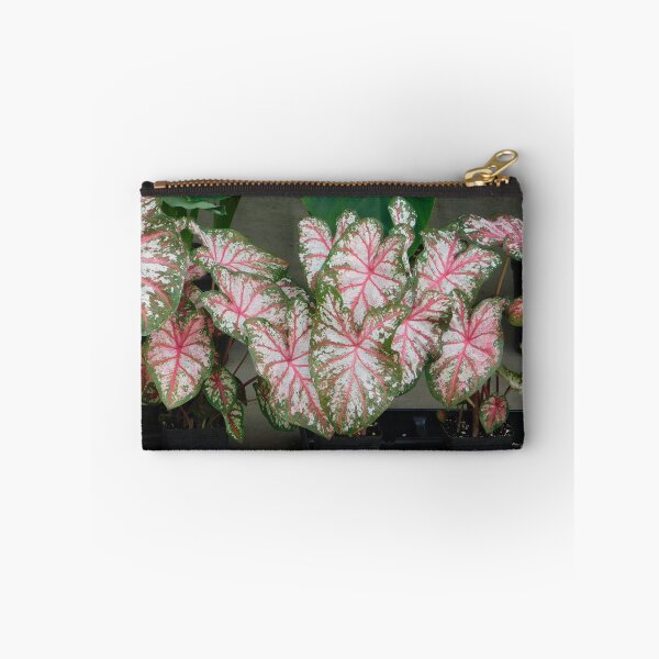 Item preview, Coleus designed and sold by ctheworld.
