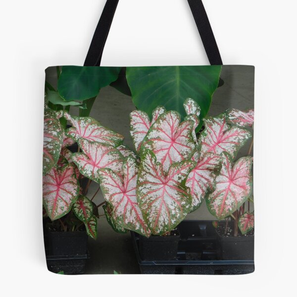 Item preview, Coleus designed and sold by ctheworld.