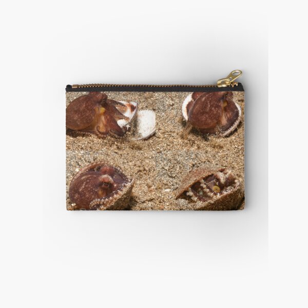 Item preview, Coconut Octopus, North Sulawesi, Indonesia designed and sold by Erik Schlogl.